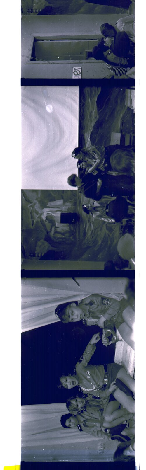 сканирование10012